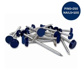 Royal Blue Plastic Headed Pins and Nails A4 Stainless Steel