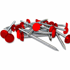 Wine Red Plastic Headed Pins and Nails A4 Stainless Steel